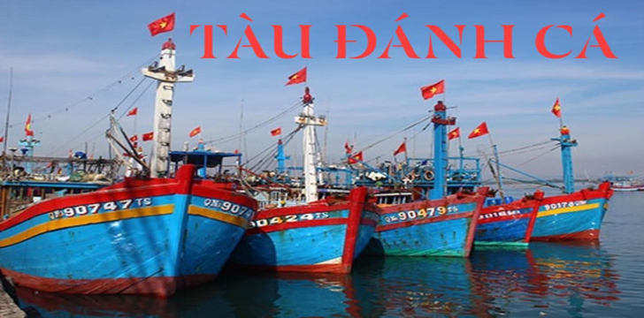 Nhớt vận tải